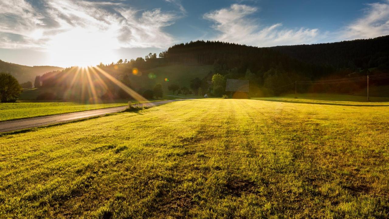 Erlebnisbauernhof Steinerhof In Kaernten Liebenfels Buitenkant foto