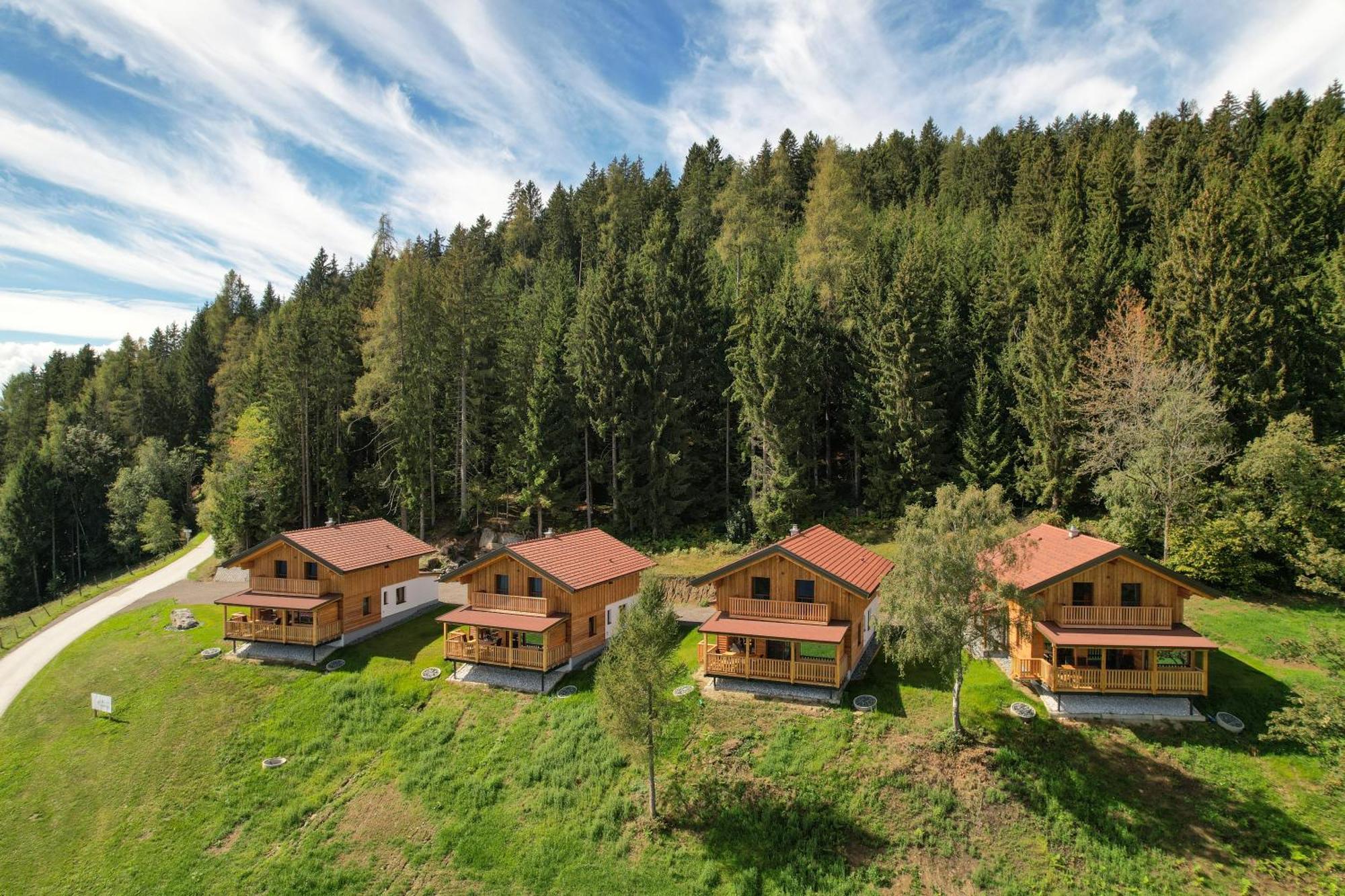 Erlebnisbauernhof Steinerhof In Kaernten Liebenfels Buitenkant foto